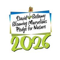 David Bellamy