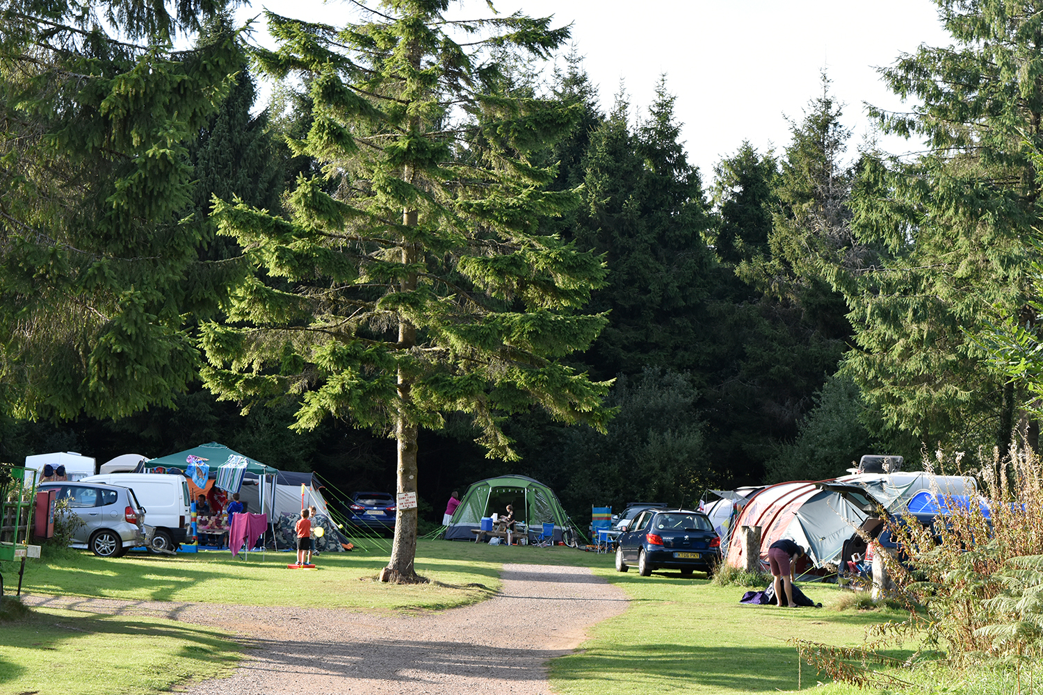Camping at Forest Glade Holiday Park in Devon