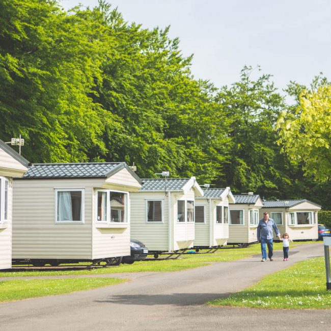 Holiday Caravans at Forest Glade