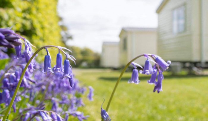 Blog spring