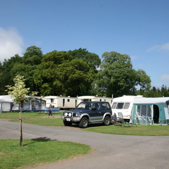 Full service pitch at Forest Glade