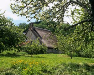 Things to do - The Old Bakery Branscombe