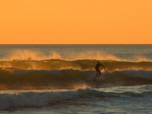 Surfer braves the waves