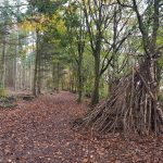 den in the forest at danes wood