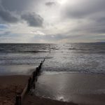 exmouth beach