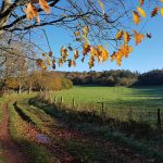 killerton parkland