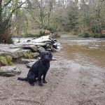 tarr steps on exmoor