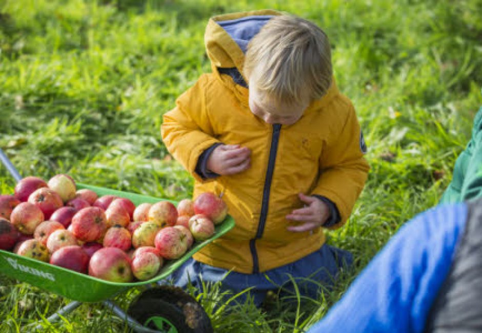 children next to wheelbarrow of apples