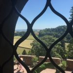 views from dunster castle