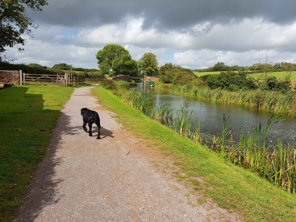Accessible Towpath / Maria Thorne