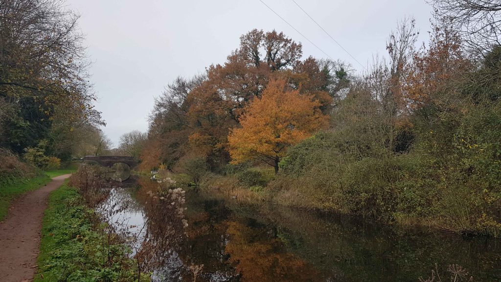 Autumn Colours on the Canal