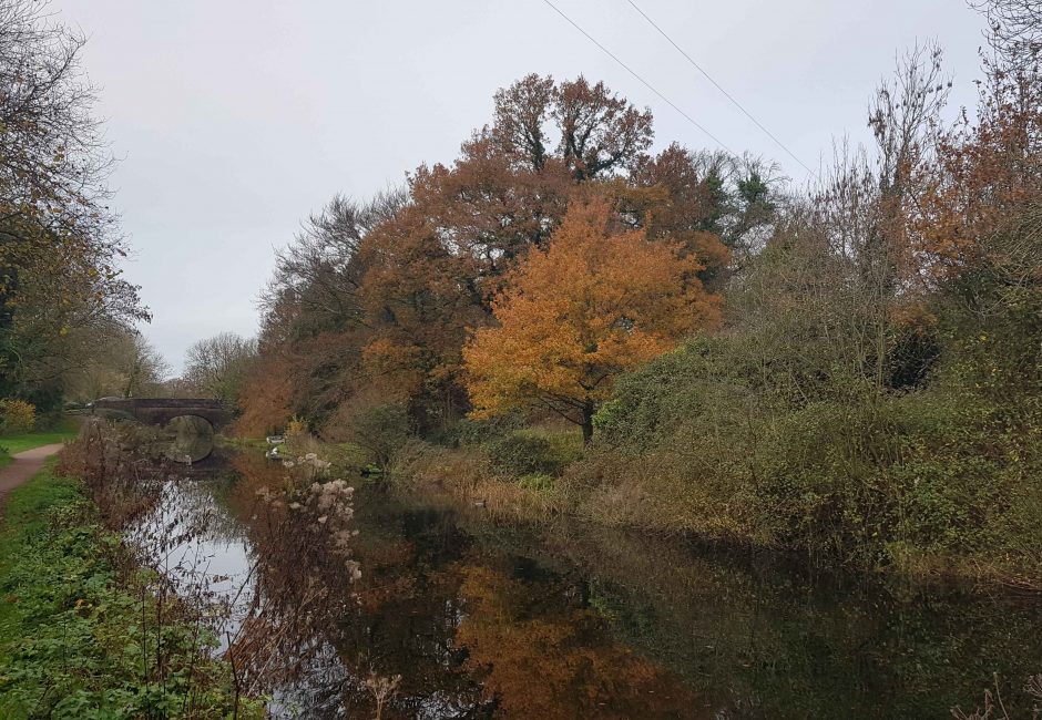 Autumn Colours on the Canal