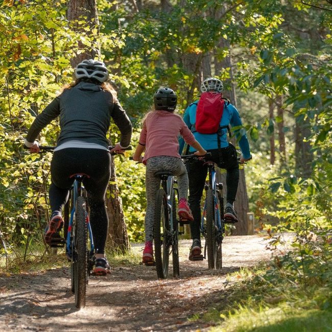 family cycling through forest
