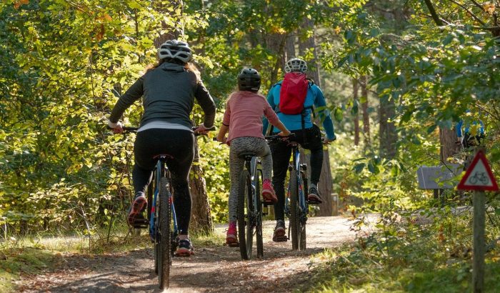 family cycling through forest