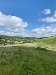 exmoor