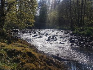 River Dart