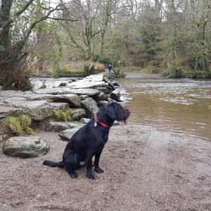 Tarr Steps