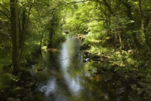 The river Teign at Castle Drogo, Devon
