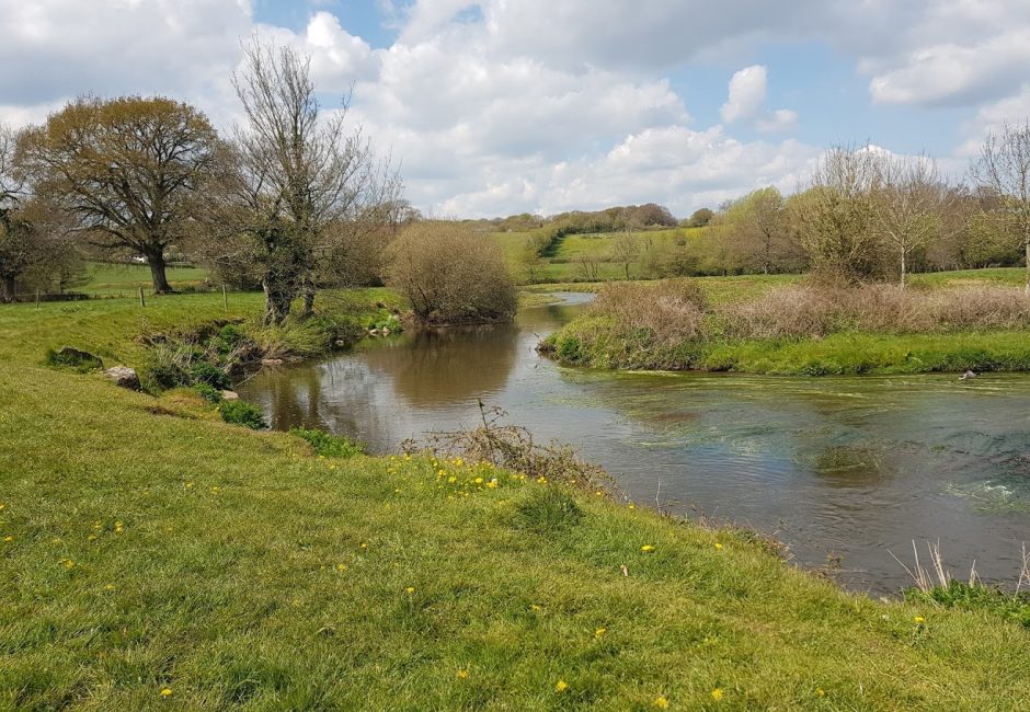 The River Culm between Uffculme and Culmstock at Forest Glade