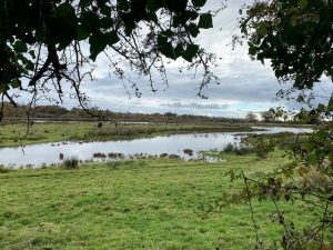 nature reserve at Forest Glade