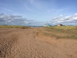 Dawlish Warren - Nature Reserve at Forest Glade