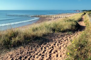Dawlish Warren Dunes