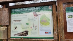 fire beacon hill nature reserve at Forest Glade