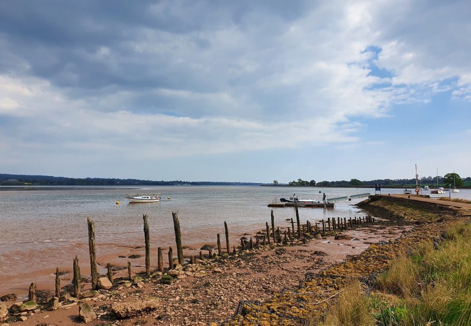 the exe estuary nature reserve at Forest Glade
