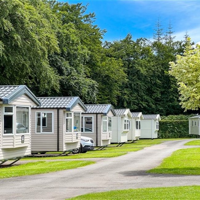 New Static Caravans in the summer at Forest Glade, Devon