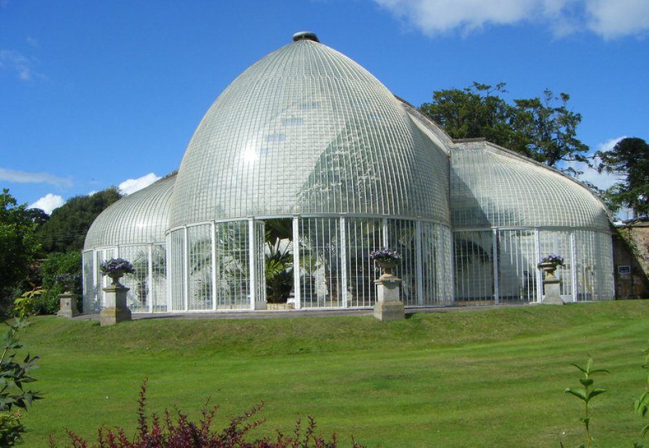 Palm House at Bicton Gardens at Forest Glade