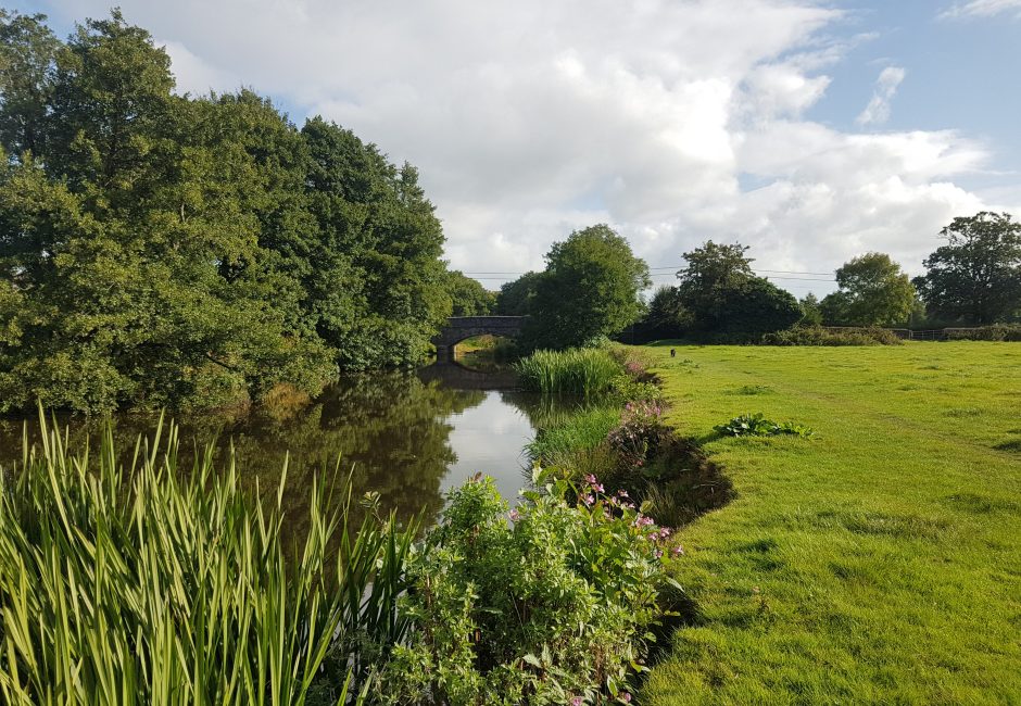 the river culm at Forest Glade
