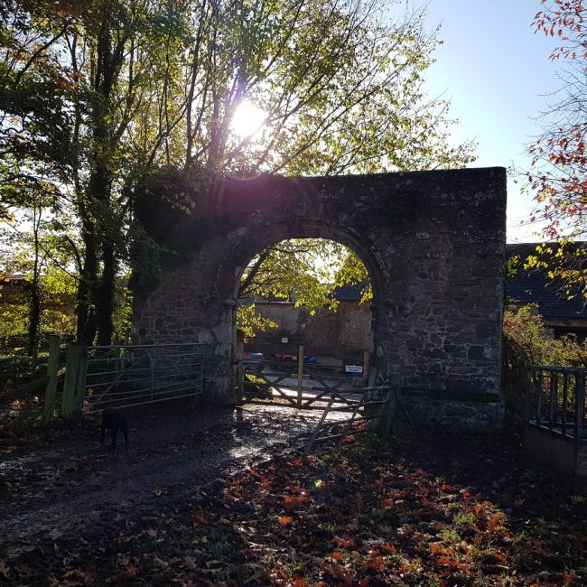 Archway at Columbjohn at Forest Glade
