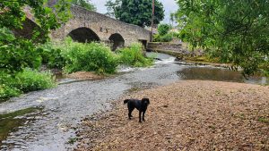 Culmstock River Beach at Forest Glade