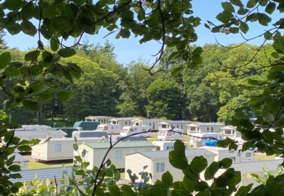 caravans holiday homes camping at Forest Glade