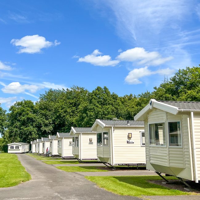 caravans holiday homes at Forest Glade