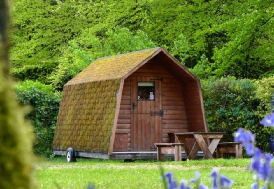pretty relaxing camping pod surrounded by flowers at Forest Glade