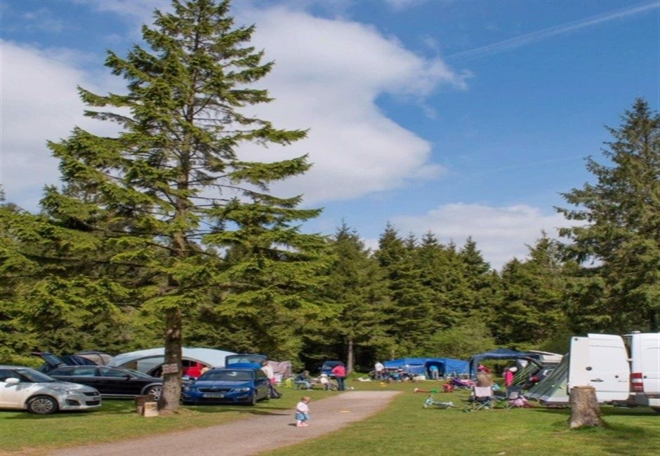 Caravan and camping pitch at Forest Glade