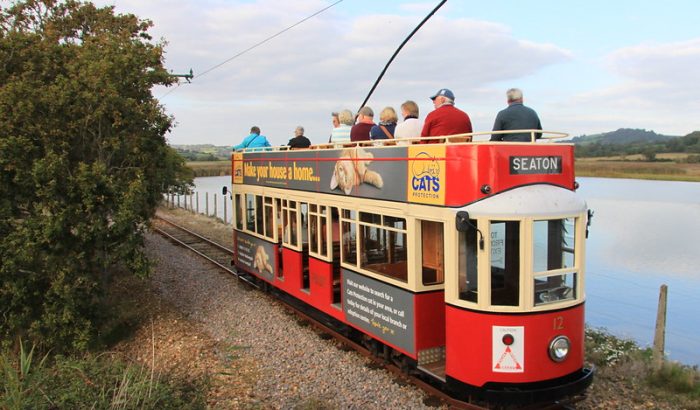 Seaton tram at Forest Glade