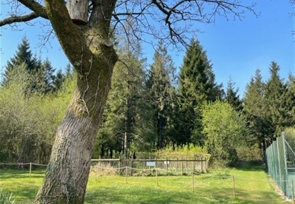 camping and caravan easter holidays at Forest Glade