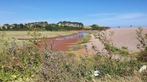 budleigh salterton dog friendly beaches