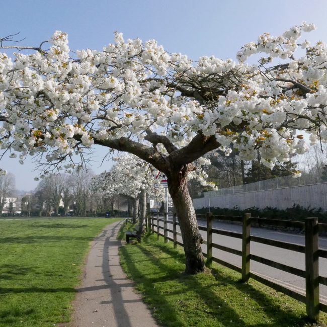things to do in barnstaple rock park
