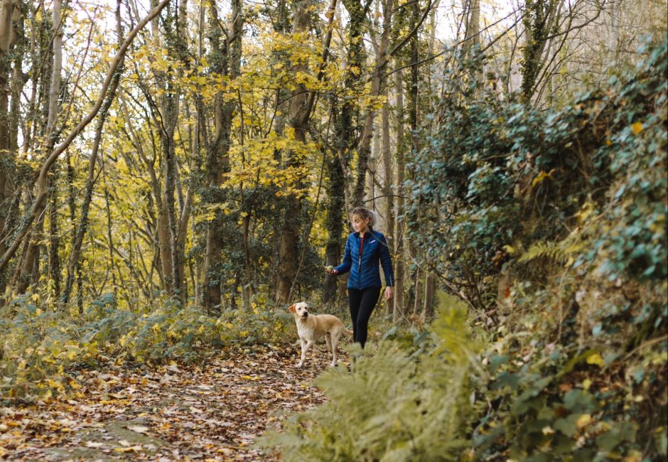 walking trails in devon